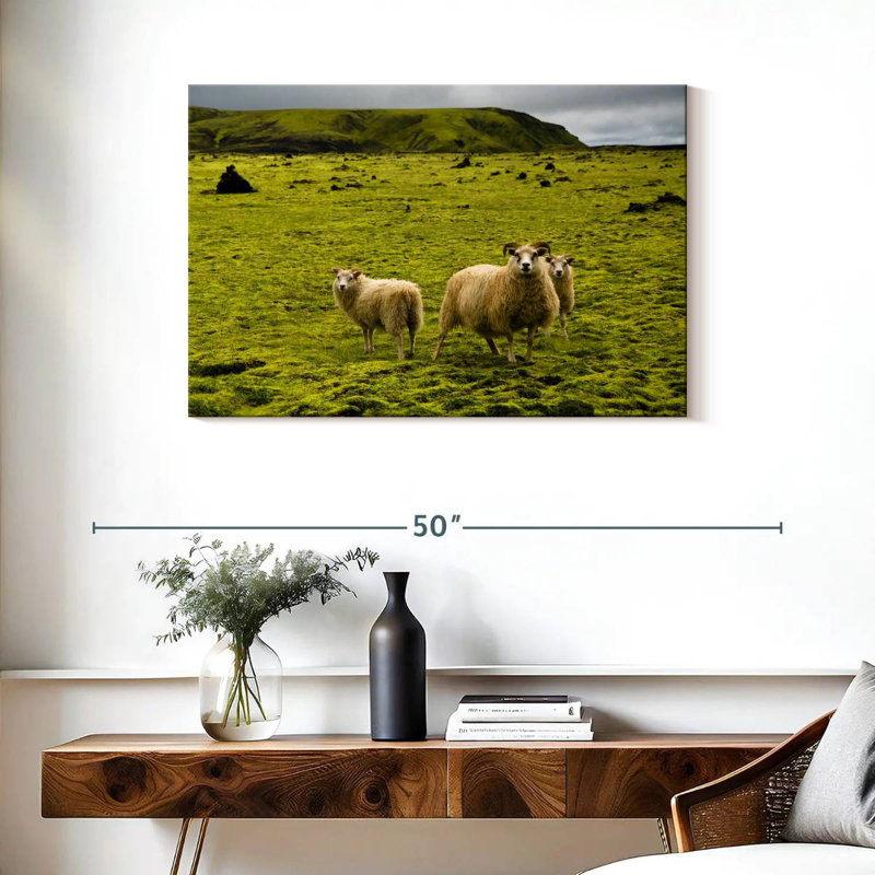 Crowle Icelandic Sheep