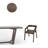Vanhouten Brown Solid Wood Dining Chair