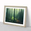 An Enviable Forest - Framed Print-1928165252-1928165275