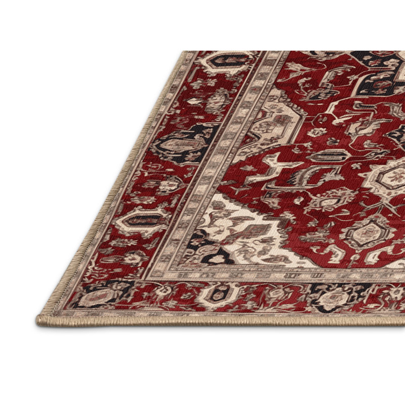 Tapis brun lavable à la machine, Rectangle 6 pi x 9 pi