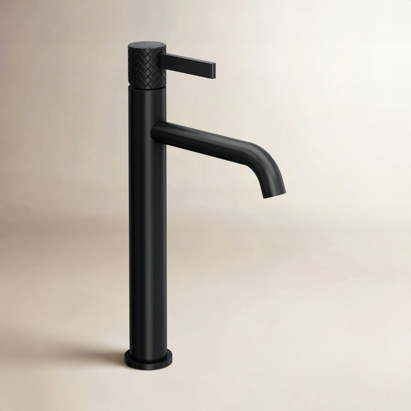 Ignacio Single-handle Bathroom Faucet, Matte Black