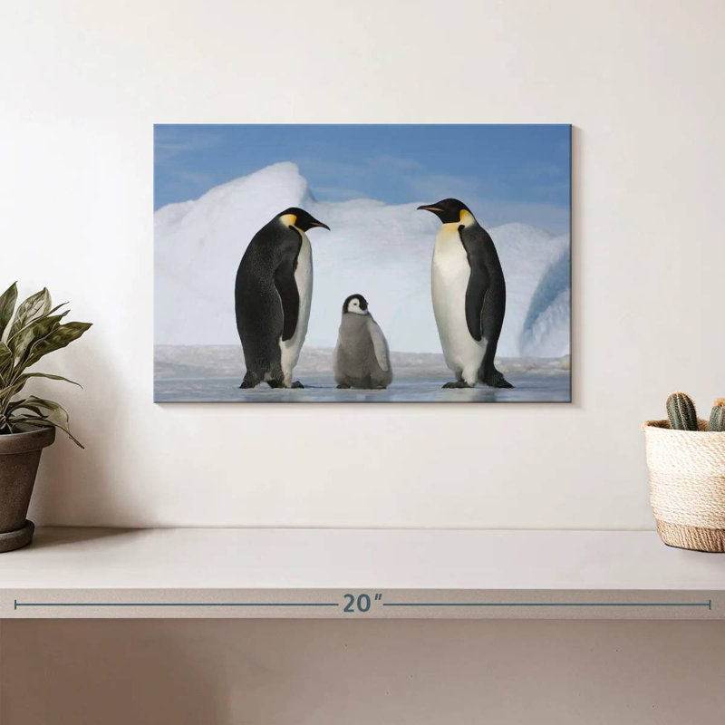 Famille de pingouins Brampt, H 8 po x l 12 po