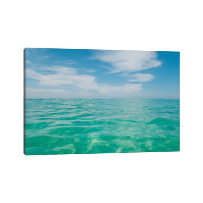 «Florida Water III» par Bethany Young, reproduction de photo sur toile tendue