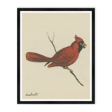 Cardinal Print