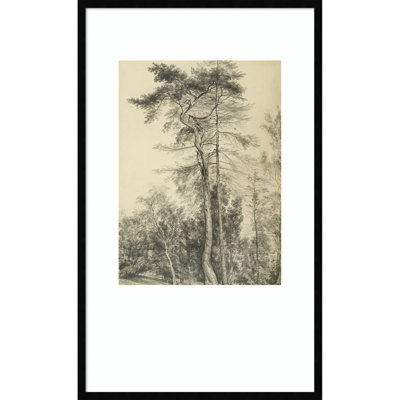 «Fir Trees c1833» par John Constable, impression sur bois encadrée