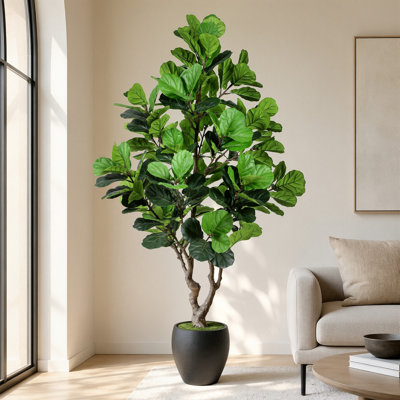 7FT Luxury Violin-Leaf Ficus, lifelike violin-leaf ficus, comes Black a white planter, high-end indoor floor-standing potted plant, perfect for decorating living rooms and offices