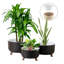 Ensemble de 3 pots à fleurs en plastique pour plantes avec trou de drainage Ginza Maison -115744818