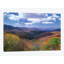 «Decidous Forest in the Autumn, Thunderstruck Ridge, Blue Ridge Parkway, North Carolina», reproduction de photo sur toile-30309846