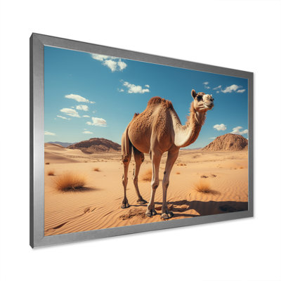 " Camel Desert Wanderer I "