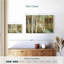 Chemin de bouleau chaud Alvord-107687716