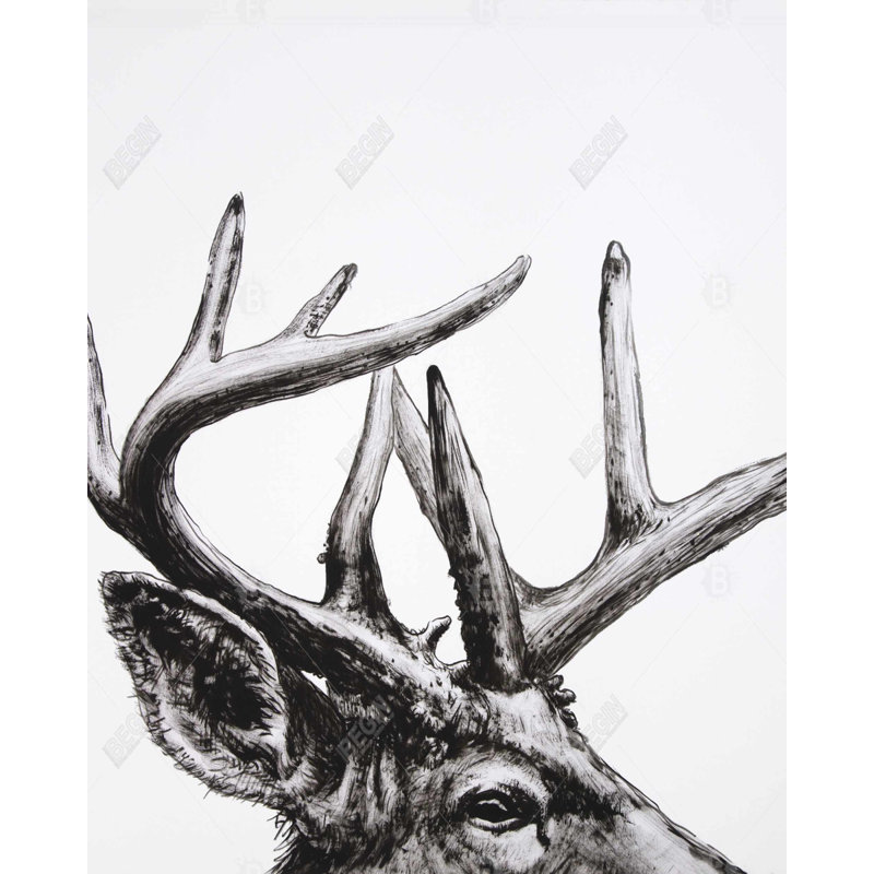 " Roe Deer Plume "