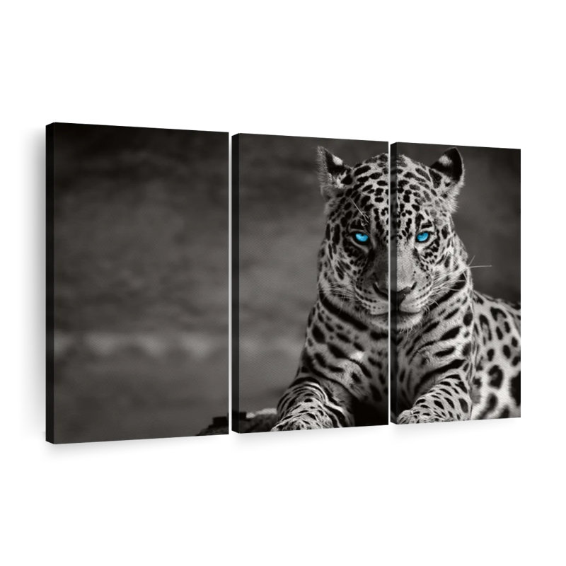 «Jaguar Eyes Pop», 3 pièces sur toile, H 32 po x l 50 po