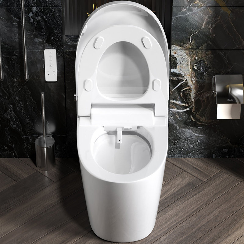 Toilette une pièce à bidet intelligente avec séchoir à air chaud, siège chauffant, veilleuse à DEL et chasse d'eau à capteur de pied