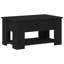 Lift Top Coffee Table with Storage-1782758829