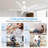2pcs 44-inch Ceiling Fan-1817334644-1817334647