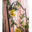 Tige de vigne de tournesol artificielle