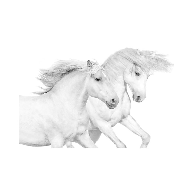 Duo II 1 Piece Wrapped Canvas Painting, 20.32 cm H x 30.48 cm W