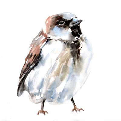 Sparrow - Wrapped Canvas Painting