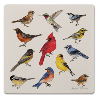 Red Barrel Studio® Bird Study Decorative Cork Backed Stone Trivet 8" Square