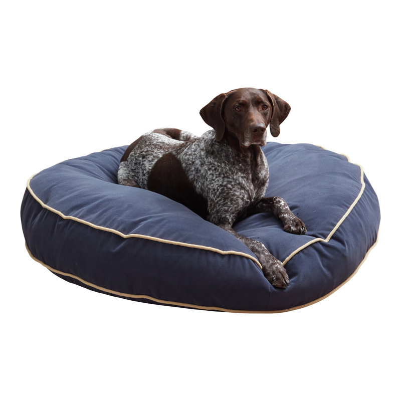 Lit pour chien Buckhead, Denim, Très grand (l 42 po x P 42 po x H 6 po)