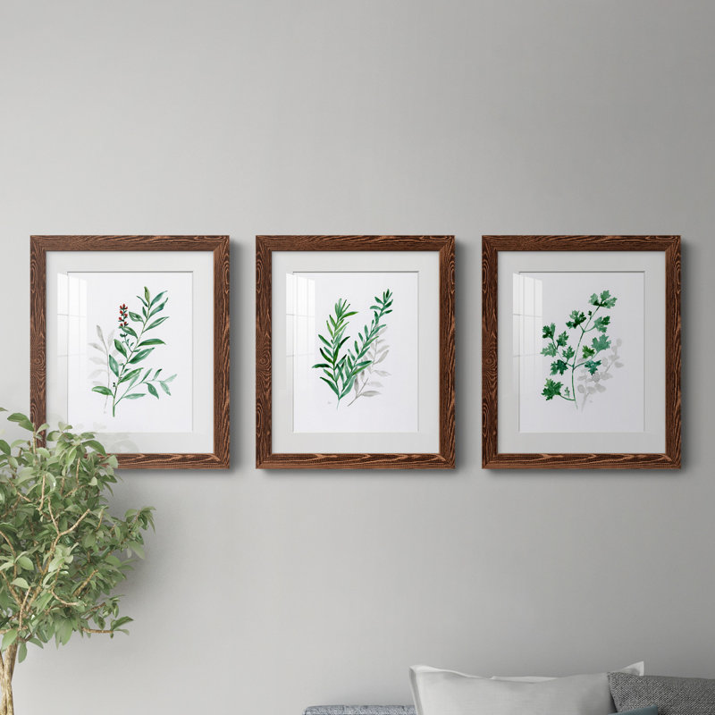 Freshly Picked I - ensemble de 3 cadres photo, Érable, H 37,5 po x l 82,5 po x P 1,5 po