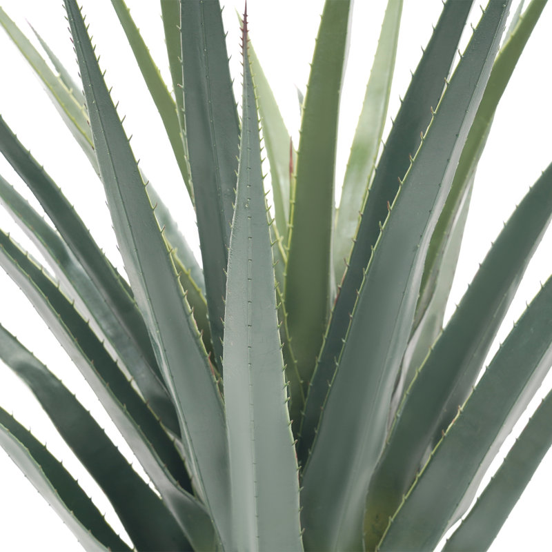 2Pcs Artificial Spiked Agave Plants