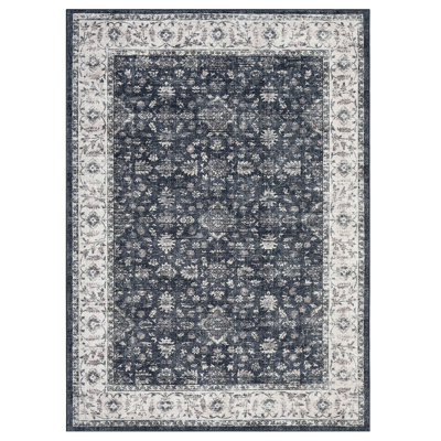 Tapis moelleux lavable rétro avec envers antidérapant - design moderne pour le salon, la chambre à coucher, la salle à manger, la chambre de bébé, le bureau, la ferme