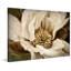 Classic Magnolia II - reproduction sur toile-1055086219