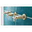 Levoir® Sensori® Volume Control Trim Lever-59092973