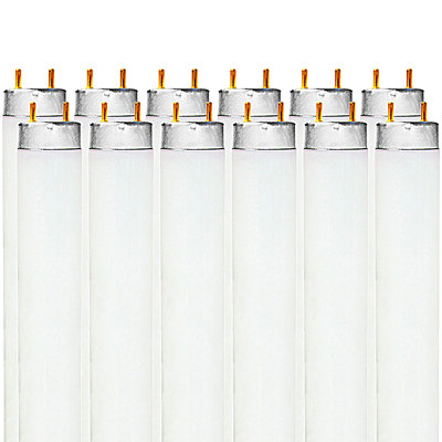 32 Watt T8 G13/Bi-pin 6500K Fluorescent Bulb