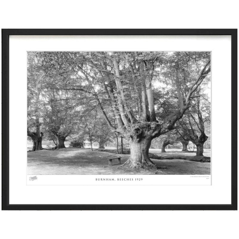 Burnham, Beeches 1929 by Francis Frith - Single Picture Frame Print, 60cm H x 80cm W x 2.3cm D
