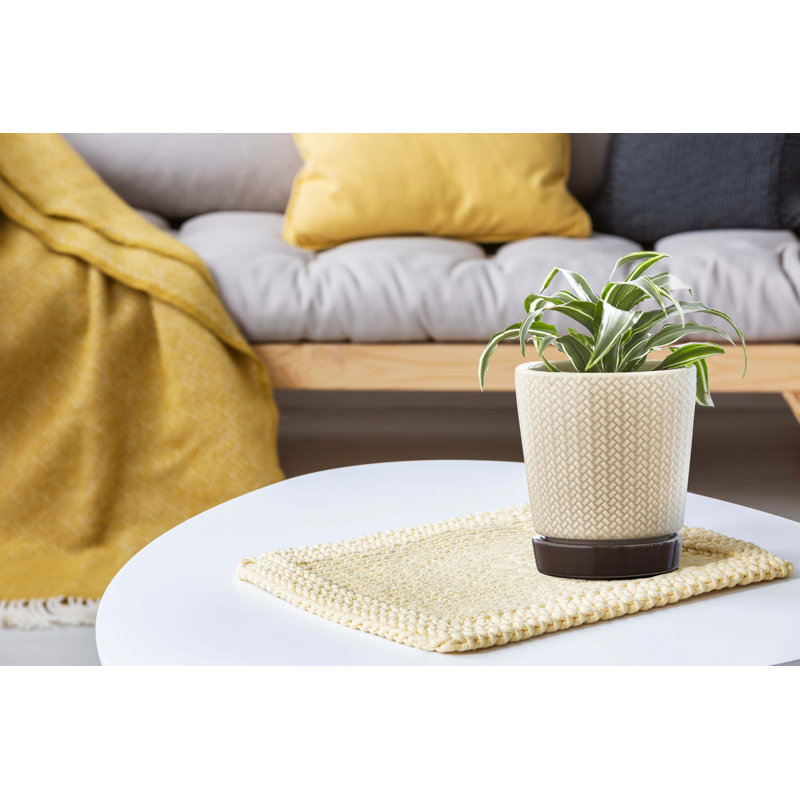 Light Brown and Dark Base Ceramic Pot Planter