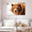 Grizzly Bear Stare-107703633