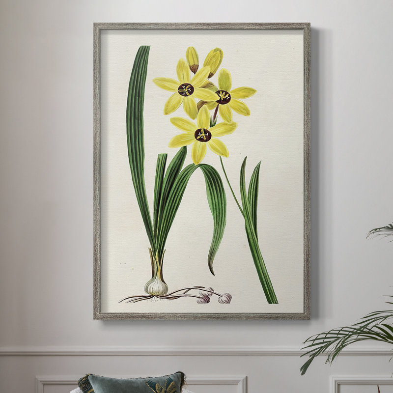 AntiqueFloralFolioVI, reproduction encadrée - bois massif, H 15 po x l 12 po
