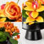 Arrangement