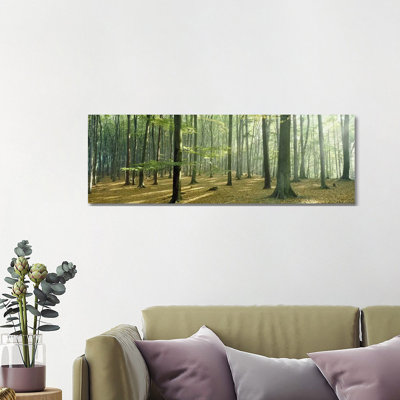Woodlands Near Annweiler Germany - Wrapped Canvas Panoramic Print