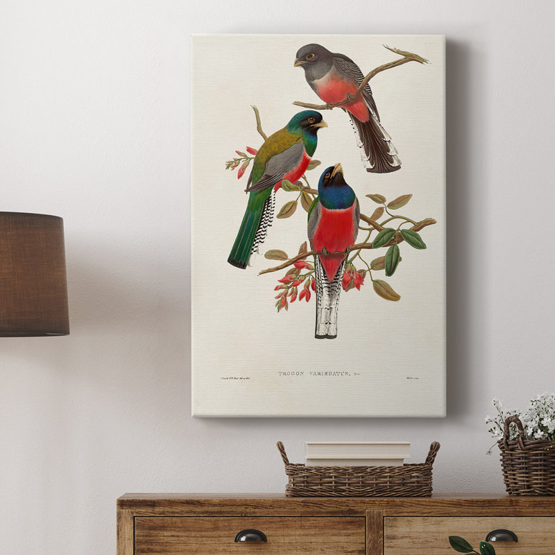 ElegantTrogonsIX - Cavas de galerie sur mesure, H 36 po x l 24 po