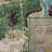 Almyra Oriental Area Rug-85137258-6114205