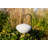 Soji 7.8'' Solar Powered Integrated LED Outdoor Lantern