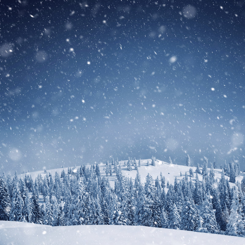 Snow blizzard in the morning Wall Art on Canvas, 76cm H x 76cm W