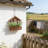 Wall-Mounted Artificial Flower