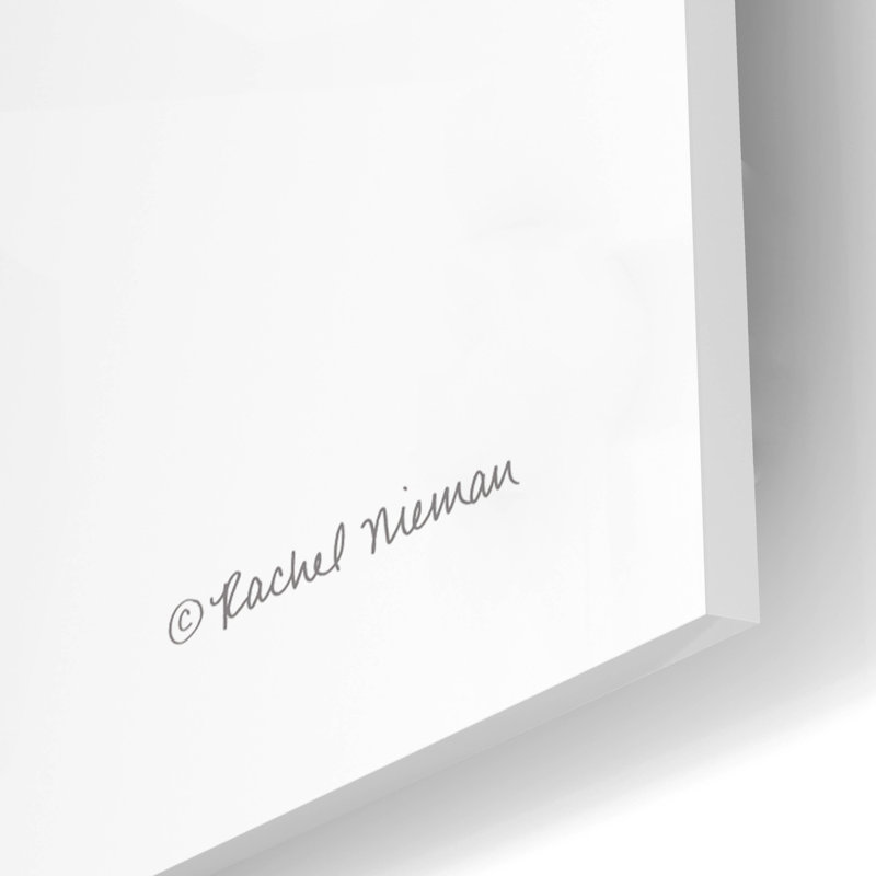 «Happy Cloud» par Rachel Nieman, H 16 po x l 12 po x P 0,13 po