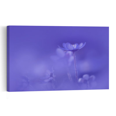 Delicate Purple Bloom Delicate Dreamy Ethereal Violet Flower Nature Wall Art Print 1 Piece Wrapped Canvas Wall Art
