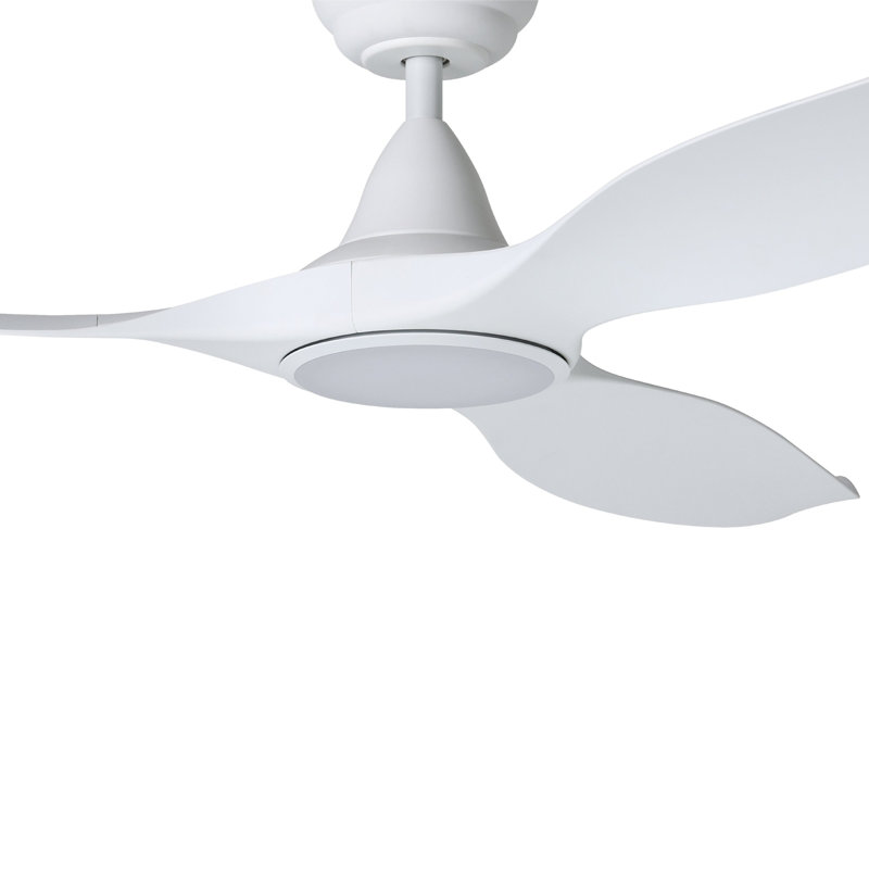 Fessler 60 inch Ceiling Fan, White