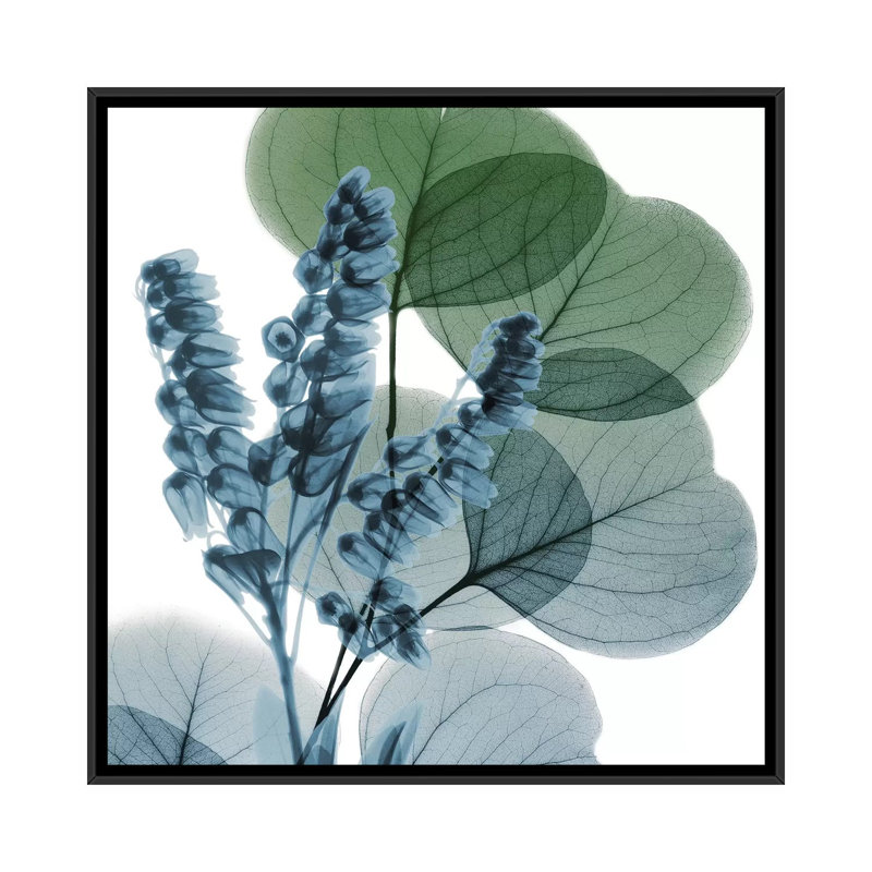 «Lilly of Eucalyptus I», impression sur toile, H 18 po x l 18 po x P 1,5 po, Toile avec cadre noir, Pas de tapis