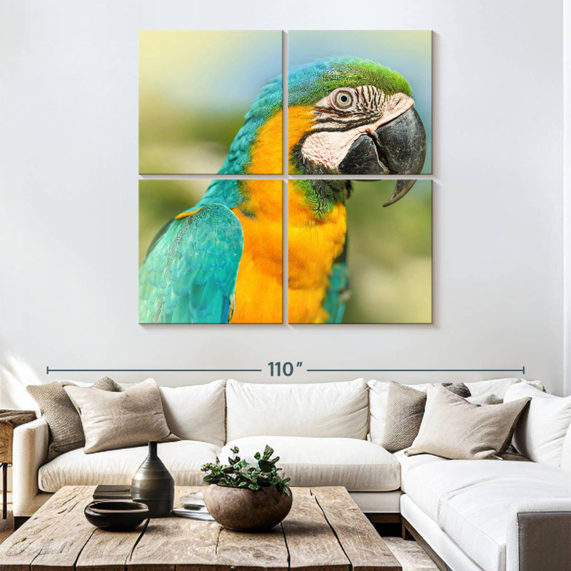 Brampt Parrot, 74" H x 74" W