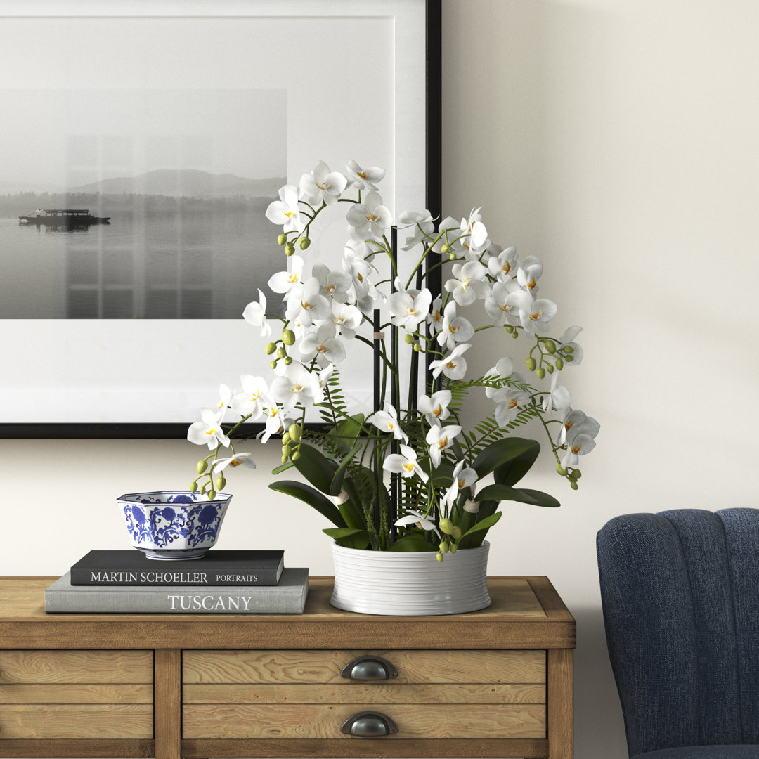 Polysilk Orchid Arrangement in Planter Three Posts™