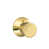 Bright Brass selected
