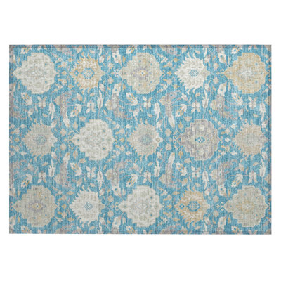  Machine Washable Indoor/Outdoor Chantille ACN1026 Rug
