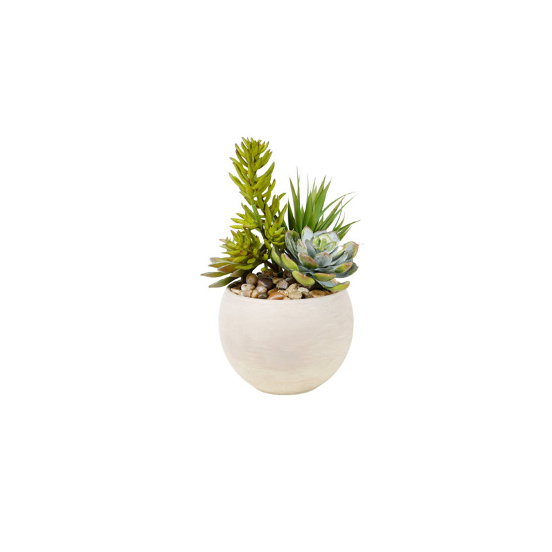Succulent Arrangement in Granite Ceramic Sphere